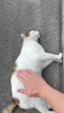附圖