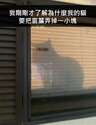 附圖