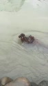 附圖