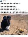 附圖