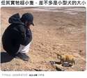 附圖