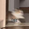 附圖