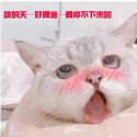 附圖