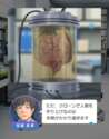 附圖