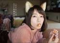附圖