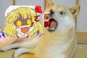 附圖