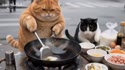 附圖
