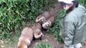 附圖
