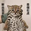 附圖