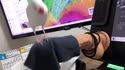 附圖