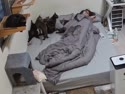 附圖