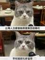 附圖