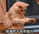 附圖