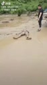 附圖