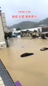 附圖