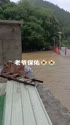 附圖