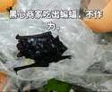 附圖