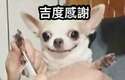 附圖
