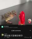 附圖