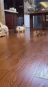 附圖