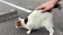 附圖