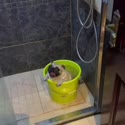 附圖