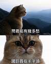 附圖