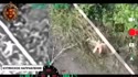 附圖