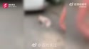 附圖