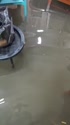 附圖
