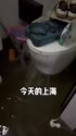 附圖