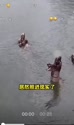 附圖
