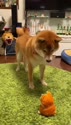 附圖