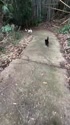 附圖