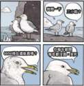 附圖