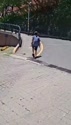 附圖