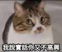 附圖