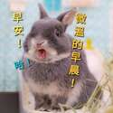 附圖