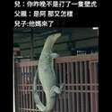 附圖