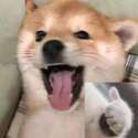 附圖