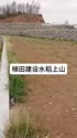 附圖
