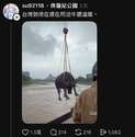 附圖
