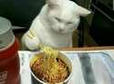 附圖