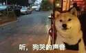 附圖