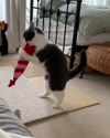 附圖