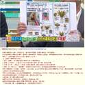 附圖