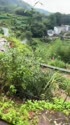 附圖