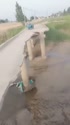 附圖