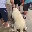 附圖