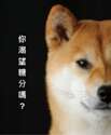附圖